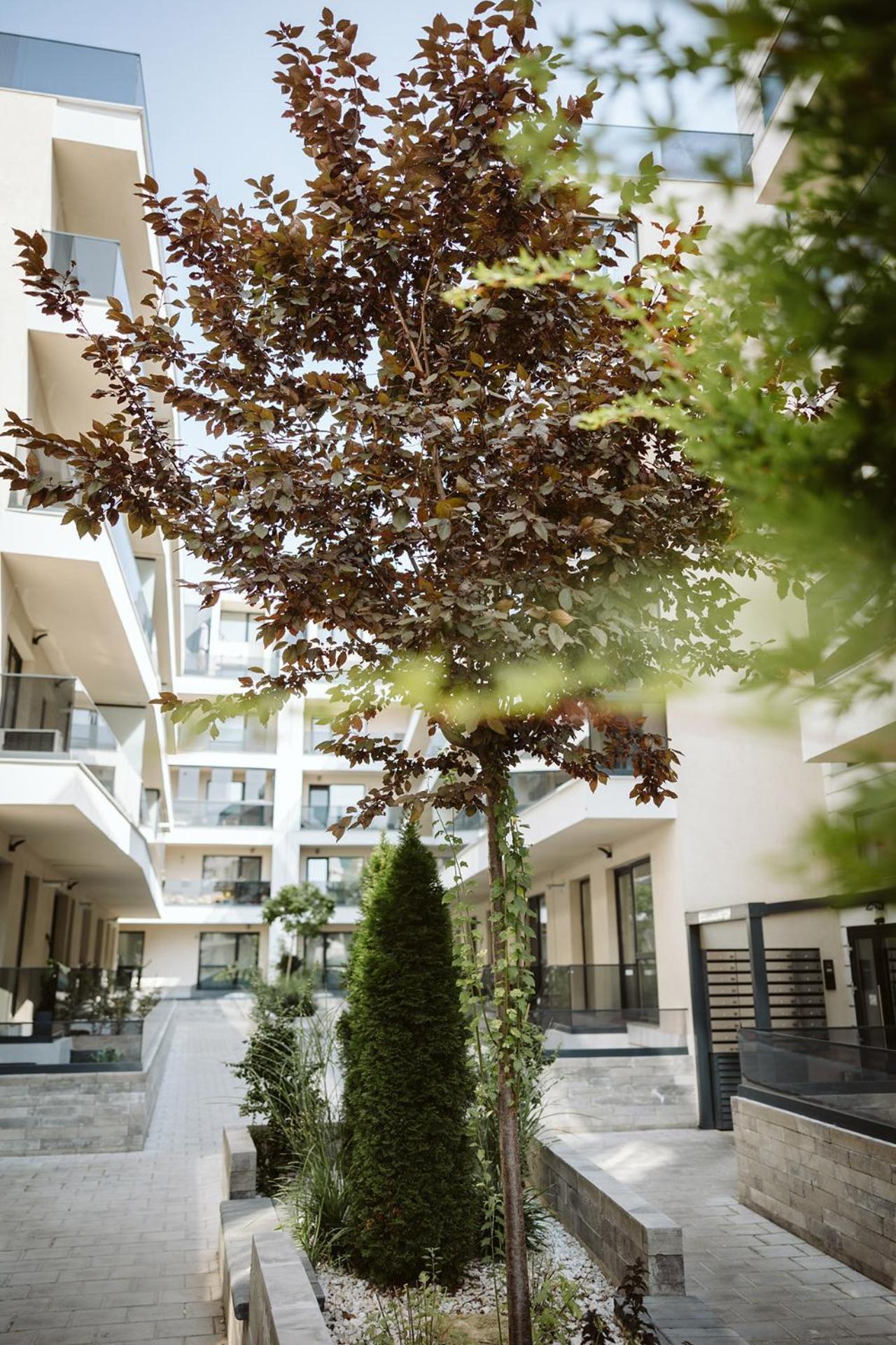 Dec Apartments Bukarest Exteriör bild
